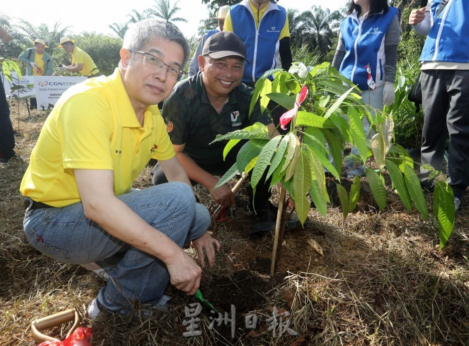 中资企业总商会 种100树苗护马来貘