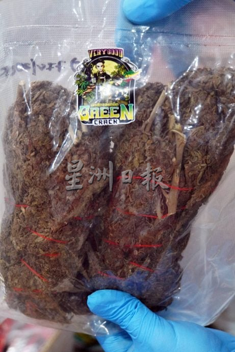 灯塔成毒枭取货地标,玻关税局查获高价值大麻花