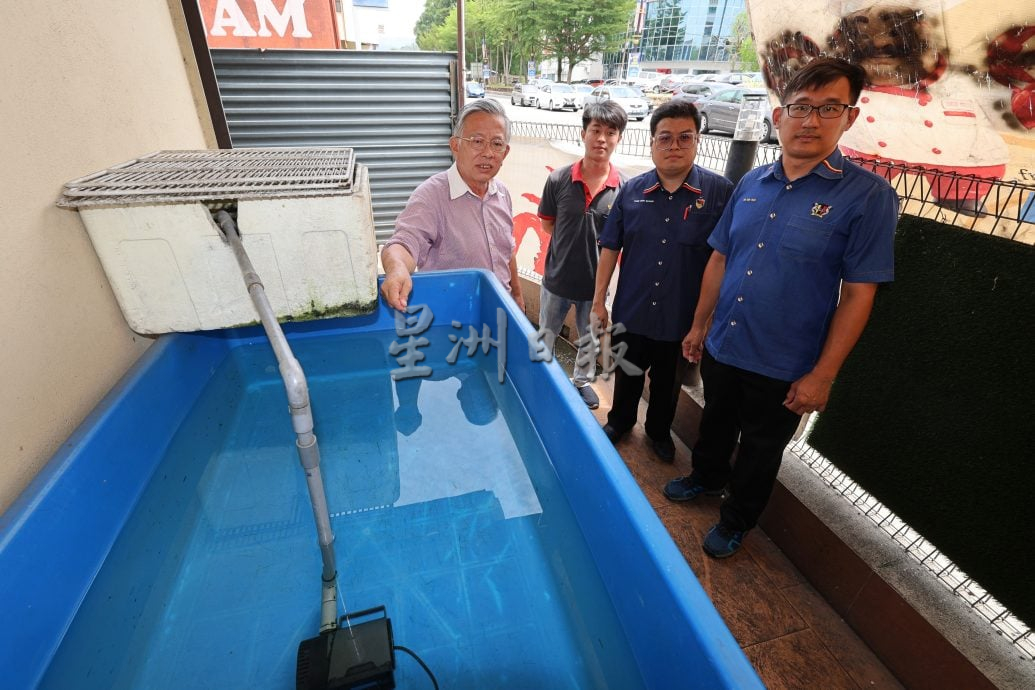 供星洲网：男子清晨翻墙到餐馆“免费捞鱼” 12条红非洲塞满斜挎包扬长而去