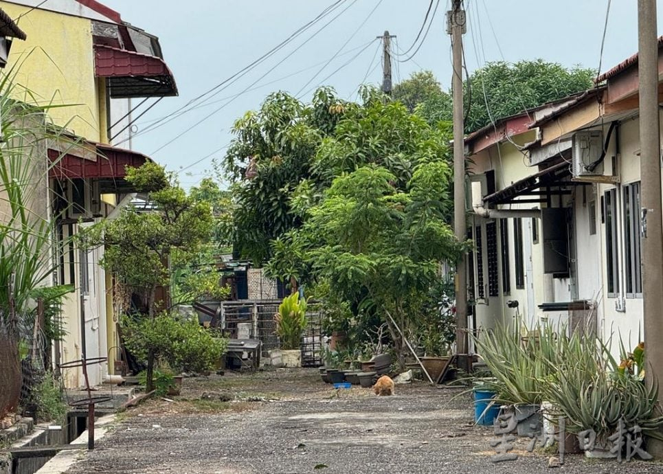 (古城第三版主文)雨季来临黑斑蚊风险高·市议会展开后巷清理行动