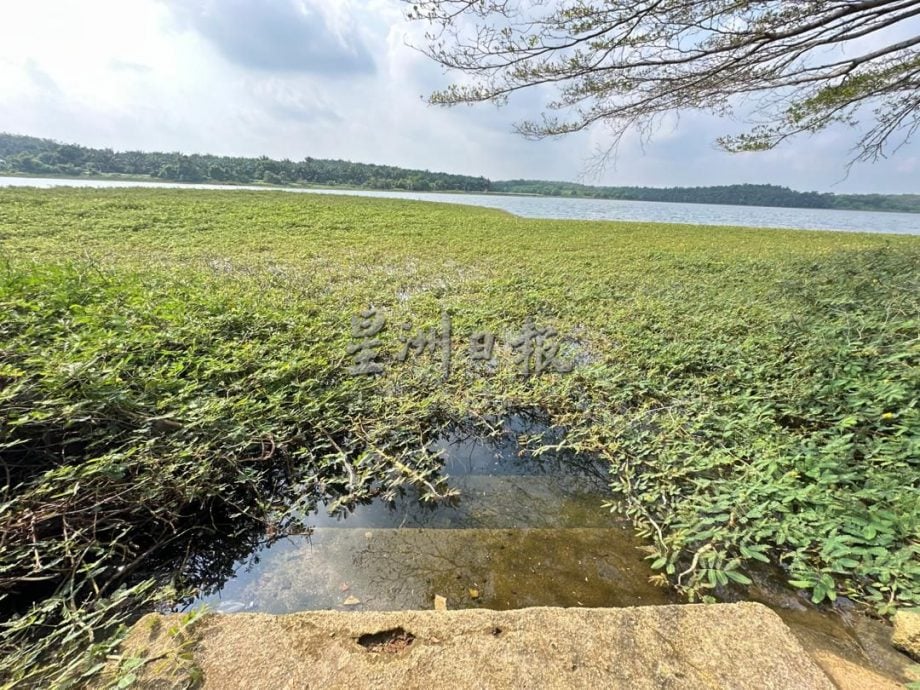 (古城版)半岛心旅行/22/8见报/马接峇鲁新村