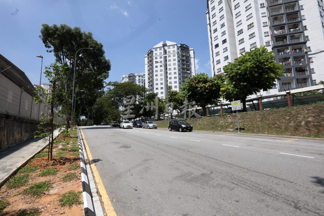 大都会/早报头/（主文）杨巧双服务中心巡视新行人道