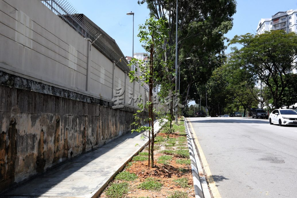 大都会/早报头/（主文）杨巧双服务中心巡视新行人道