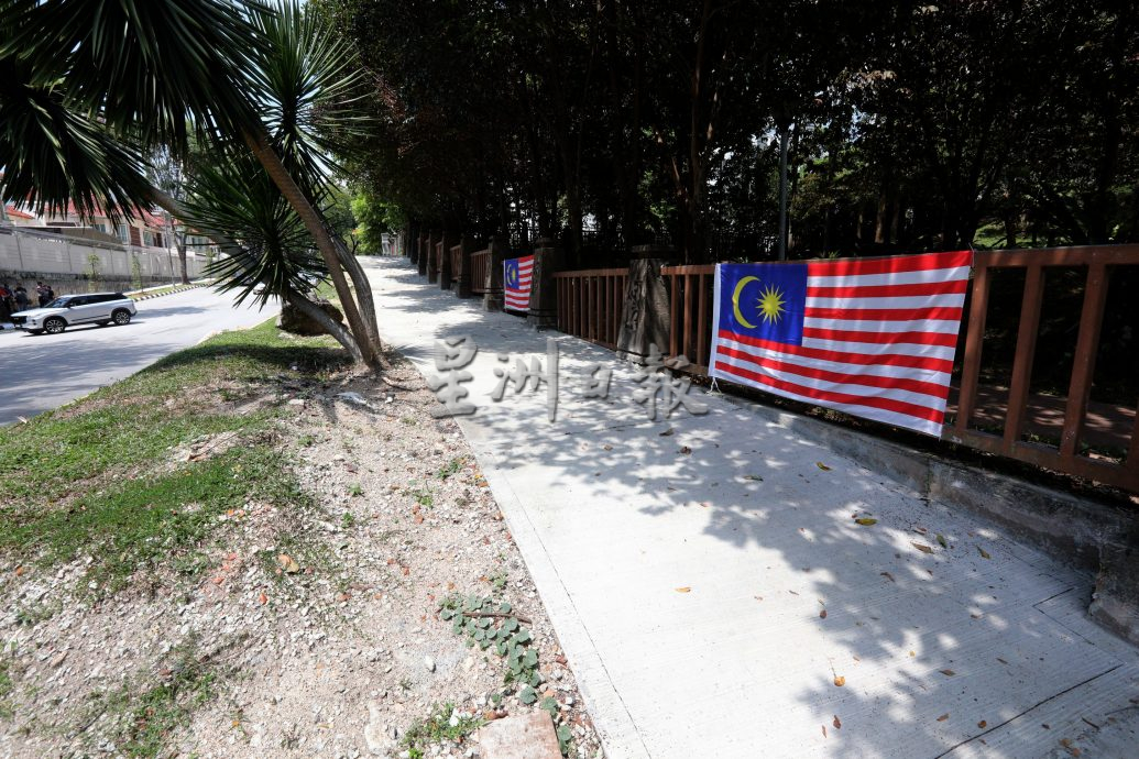 大都会/早报头/（主文）杨巧双服务中心巡视新行人道