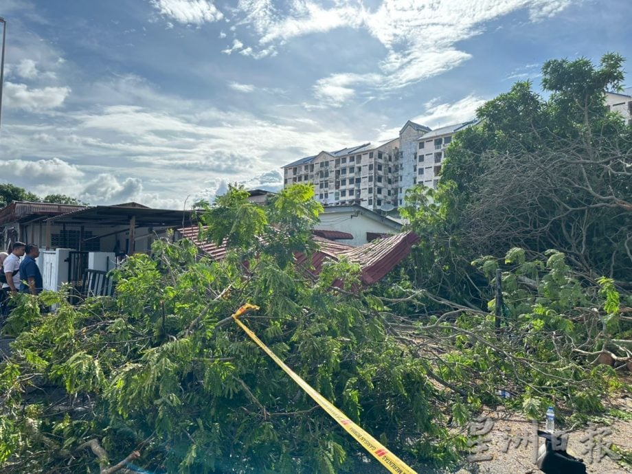 (古城第三版主文)半年8百民宅遇风灾逾3千遇水灾 林朝雁促设特别救灾基金