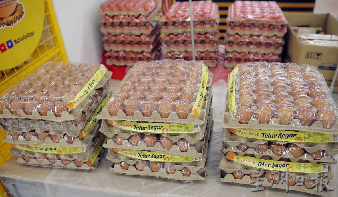 政府取消补贴 8月中鸡蛋价格陆续起