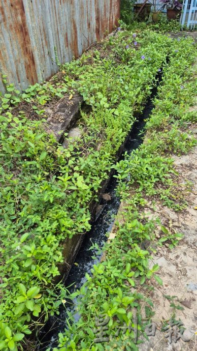 （古城封面主文）甘榜爪哇及祈安律后巷一带沟渠严重阻塞恐衍生蚊虫 恐爆骨痛热症 