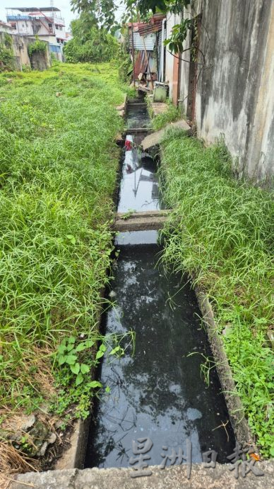 （古城封面主文）甘榜爪哇及祈安律后巷一带沟渠严重阻塞恐衍生蚊虫 恐爆骨痛热症 