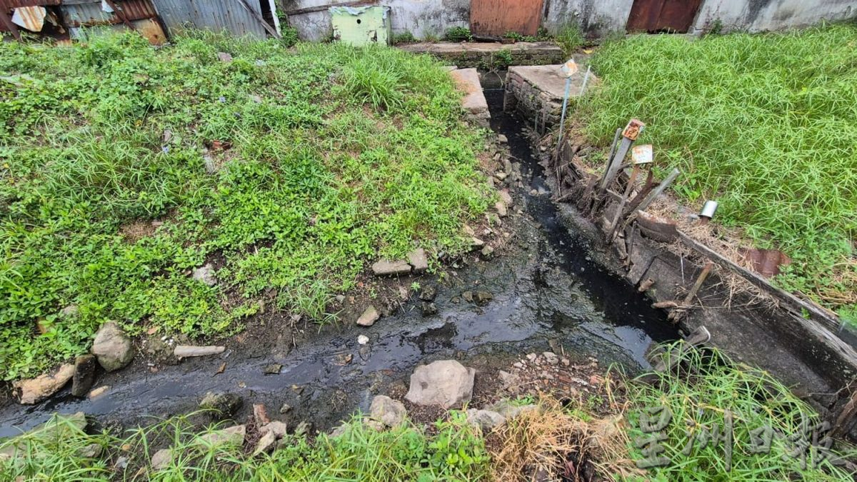 （古城封面主文）甘榜爪哇及祈安律后巷一带沟渠严重阻塞恐衍生蚊虫 恐爆骨痛热症 