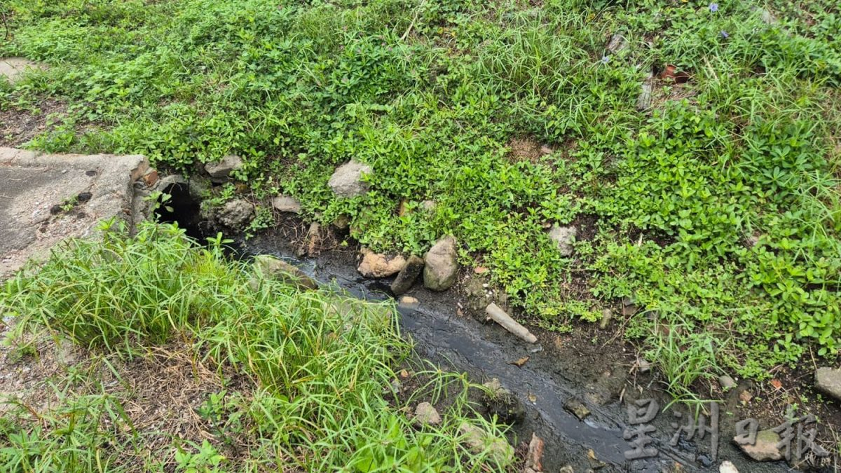 （古城封面主文）甘榜爪哇及祈安律后巷一带沟渠严重阻塞恐衍生蚊虫 恐爆骨痛热症 