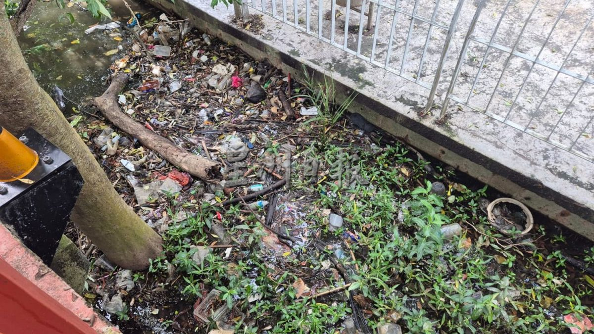 （古城版）甲河畔红树林满是垃圾