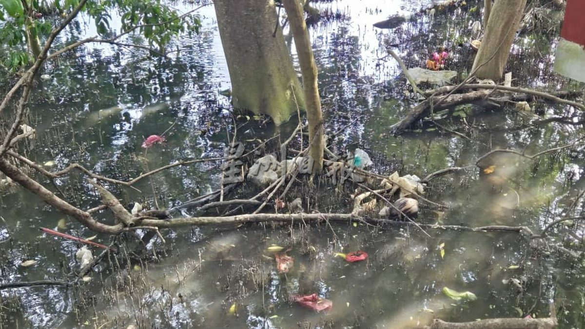 （古城版）甲河畔红树林满是垃圾