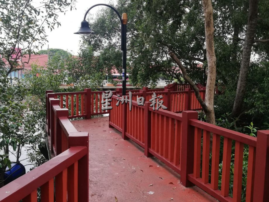 （古城版）甲河畔红树林满是垃圾