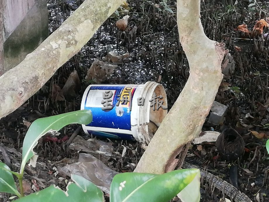 （古城版）甲河畔红树林满是垃圾