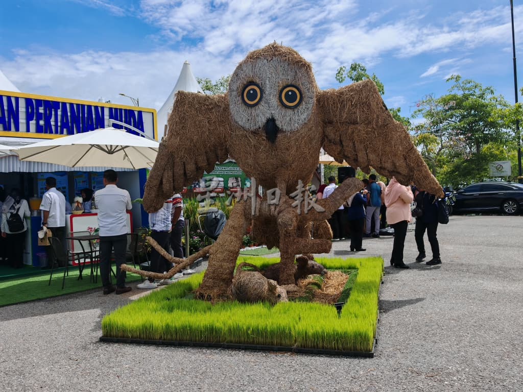 （大北马）沙努西欢迎砂拉越取代吉打成为米乡，吉打可另外发展其他种植领域。