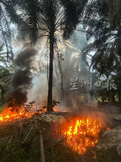 **已签发**柔:加亨南区非法焚烧垃圾 黑烟冲天气味刺鼻