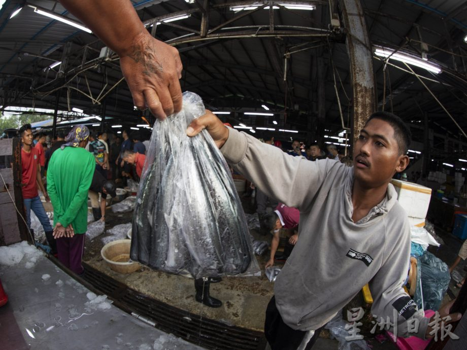 星角摄（8月28日）：笨珍“标鱼”价高者得