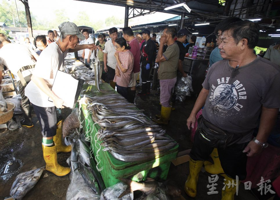 星角摄（8月28日）：笨珍“标鱼”价高者得