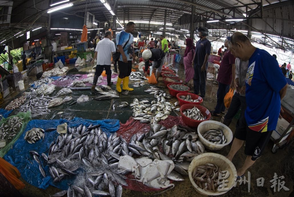 星角摄（8月28日）：笨珍“标鱼”价高者得