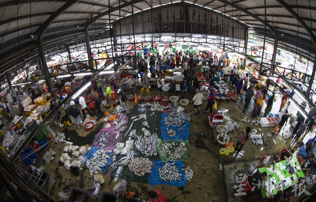 星角摄（8月28日）：笨珍“标鱼”价高者得