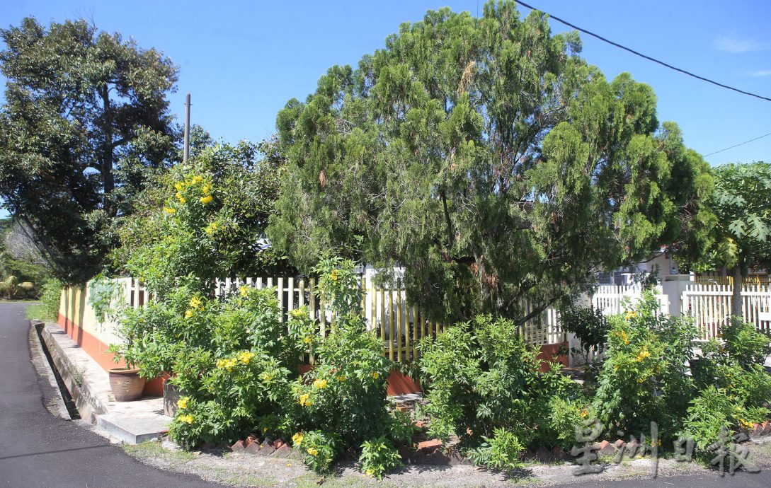 新甲板新村连续三年 家家户户挂国旗迎国庆