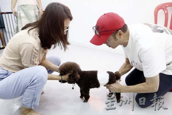 想要毛孩健康老去，这些照顾常识不可不知！