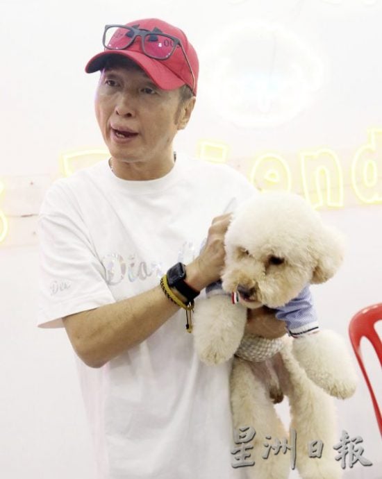 想要毛孩健康老去，这些照顾常识不可不知！