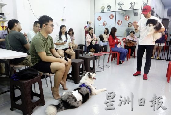 想要毛孩健康老去，这些照顾常识不可不知！