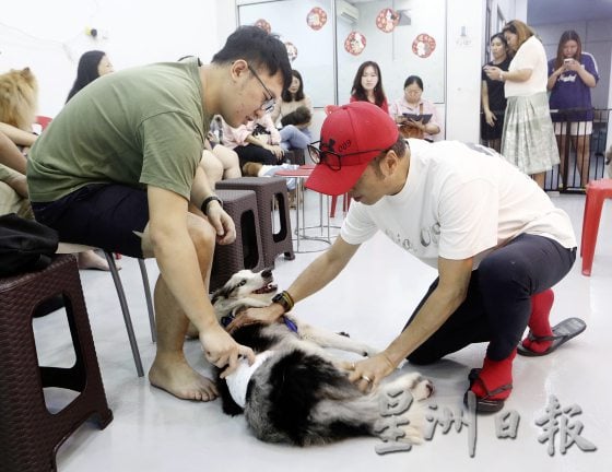 想要毛孩健康老去，这些照顾常识不可不知！