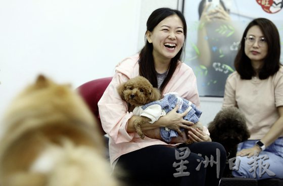 想要毛孩健康老去，这些照顾常识不可不知！