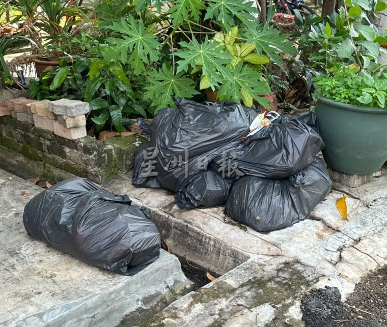 (古城第六版主文)甲近800蚊症2人死 李春沅促清理住家勿滋生蚊虫