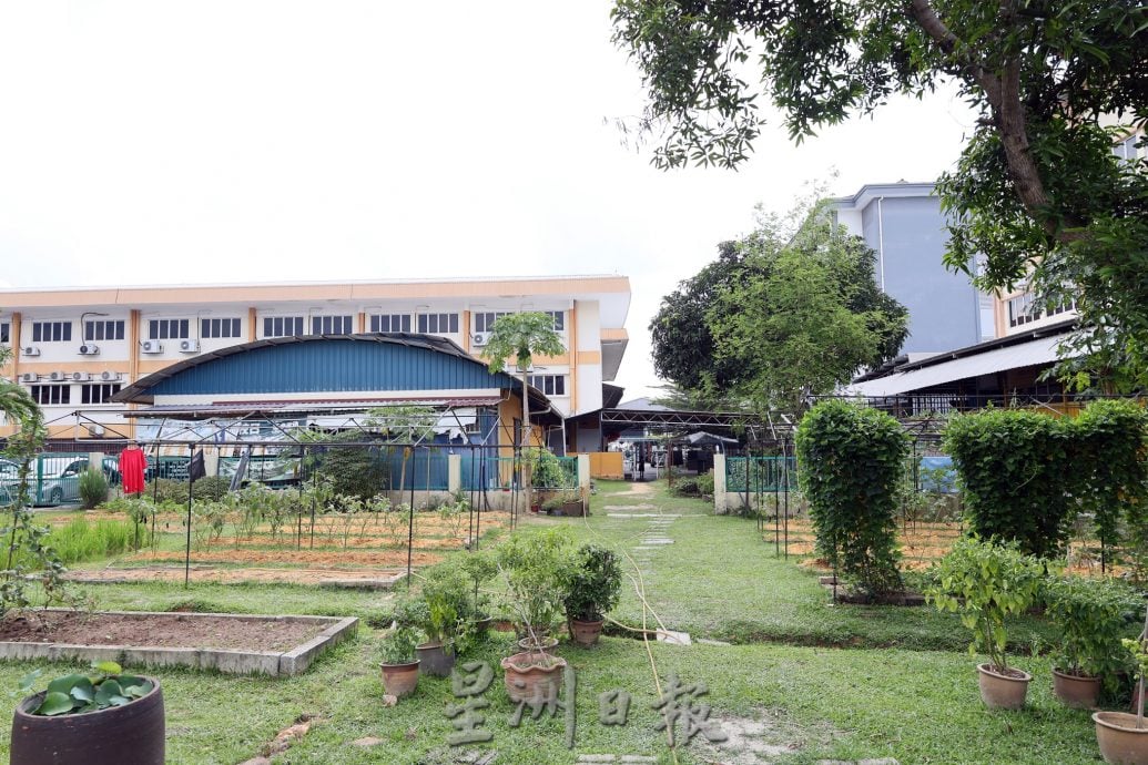 校园我董-加影育华小学