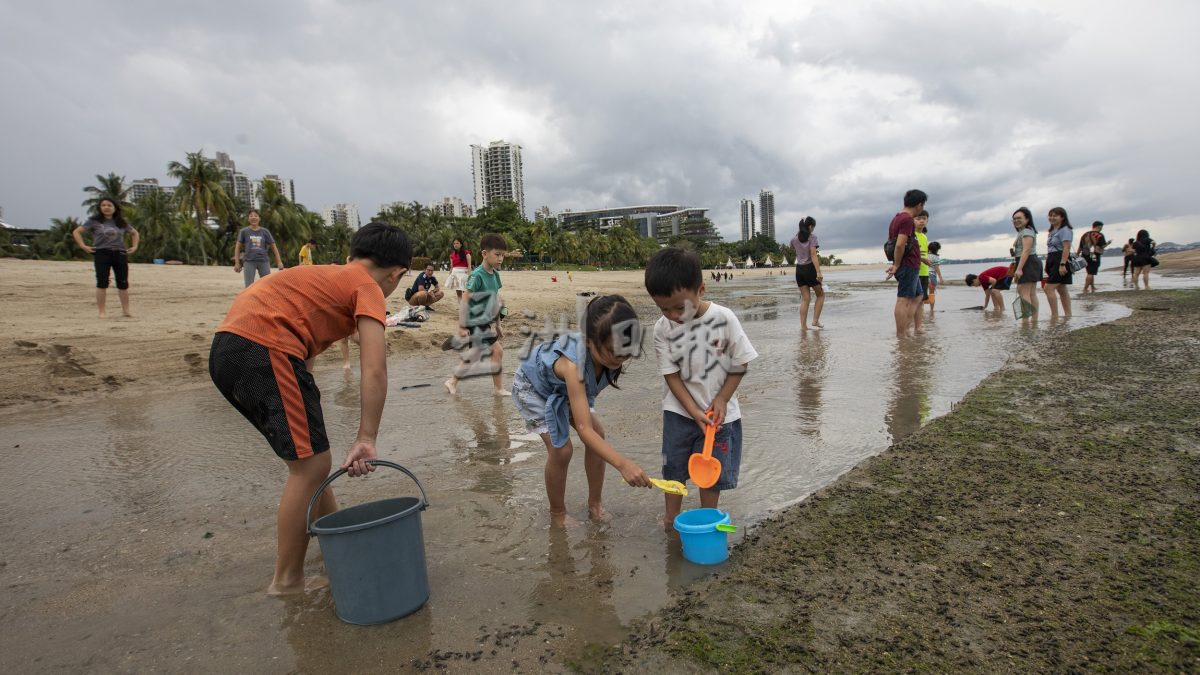 森林城市金融特区