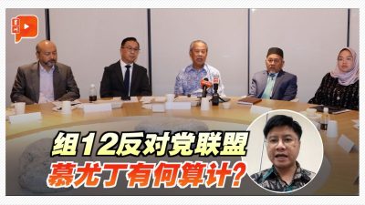 组12反对党联盟 慕尤丁有何算计？