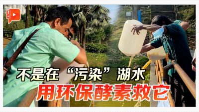 果皮厨余救湖水？ 《星洲》联手专家DBKL实验净化湖泊