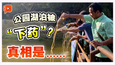 “益菌投湖”项目启动!平民也能自酿酵素救生态