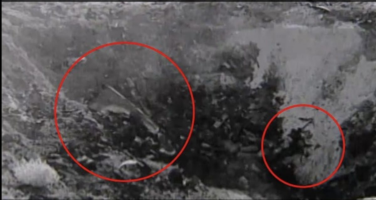 22分钟神秘画面曝光! 罗斯威尔事件再度引发全球关注