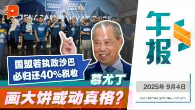 何来底气？慕尤丁承诺：国盟执政就返还40%税收