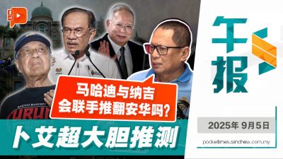 卜艾抛震撼论：马哈迪、纳吉可能联手推翻安华？