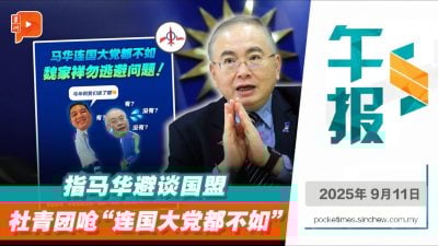 狂酸“马华不如国大党” 社青团：领袖该有担当