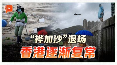 “桦加沙”退场 香港机场重开、生活逐步恢复