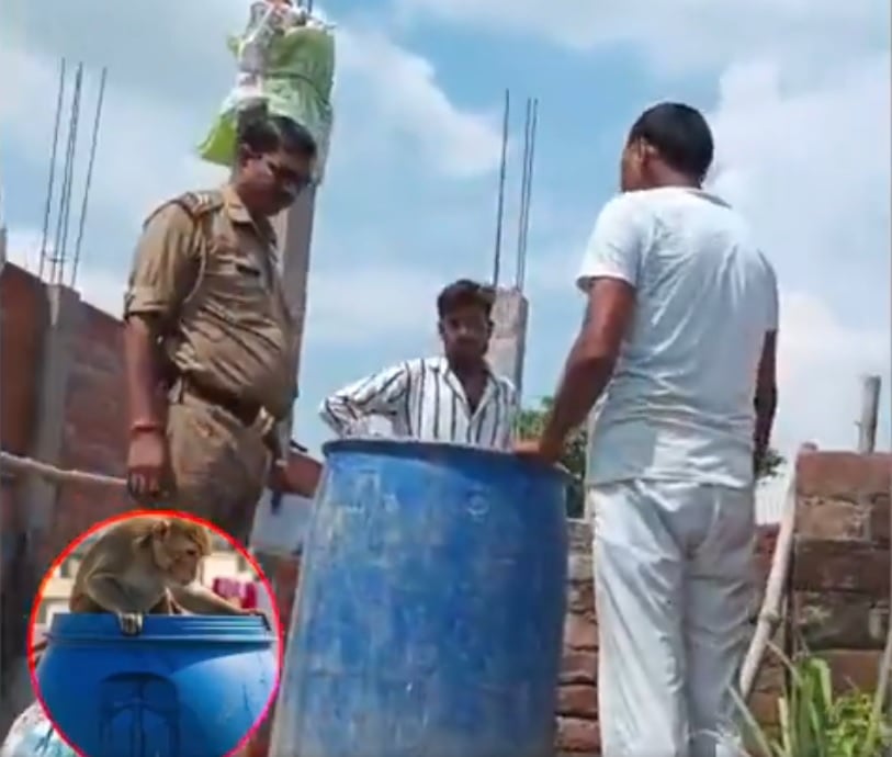 2月大男婴遭闯屋猴子掳走 丢水桶溺毙