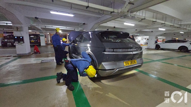 2猫钻进电动车不肯出 消拯员花5小时才哄出来