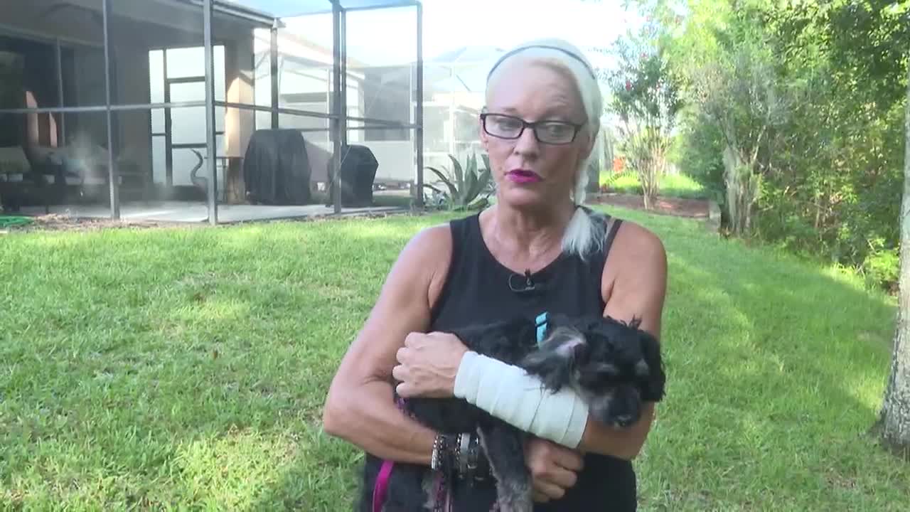 4个月大爱犬突遭鳄鱼咬住拖走 女徒手狂打1部位成功救回