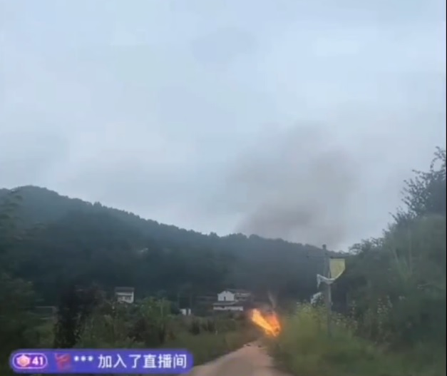55岁网红直播突坠机身亡 逾千人线上目睹吓傻