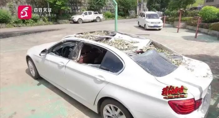 700年古树砸扁BMW 车主控缺维护烂根 被指违例停车也有错 