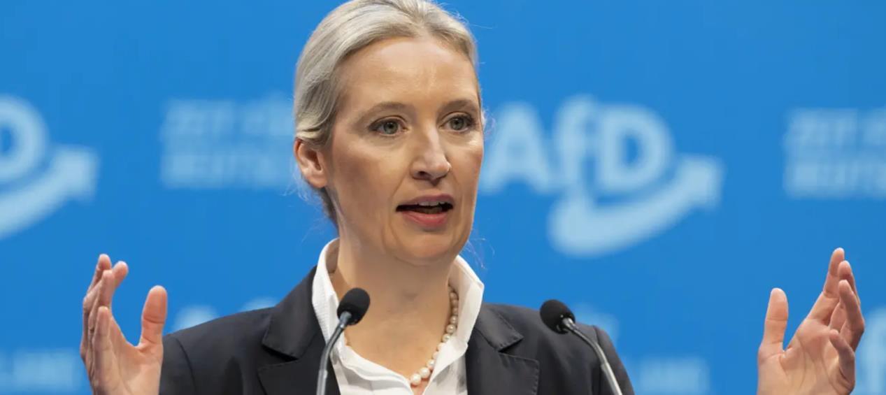 7名候选人2周内接连死亡  德国第一大州选举引发阴谋论