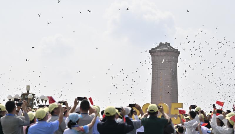 93阅兵 8万和平鸽都是“征用的” 北京市民：鸽子已到家