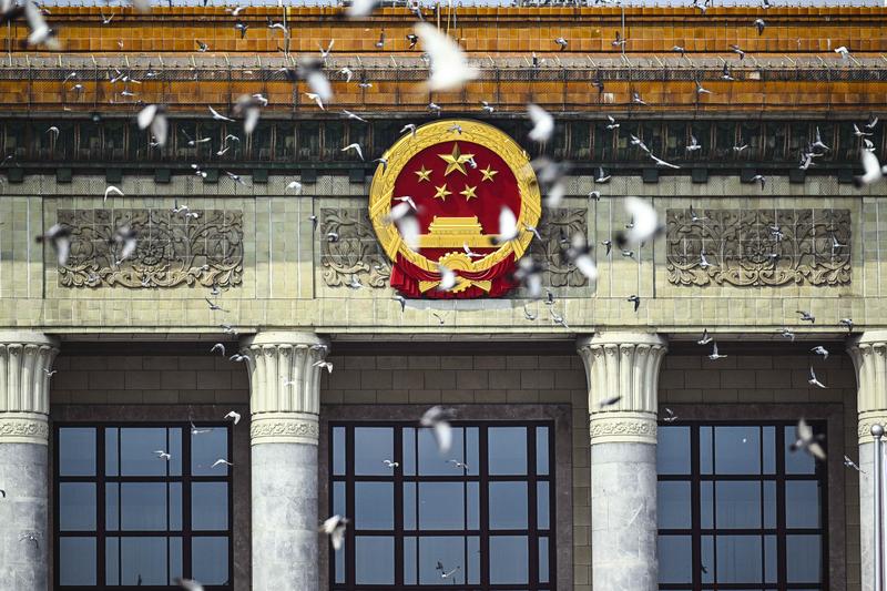 93阅兵 8万和平鸽都是“征用的” 北京市民：鸽子已到家