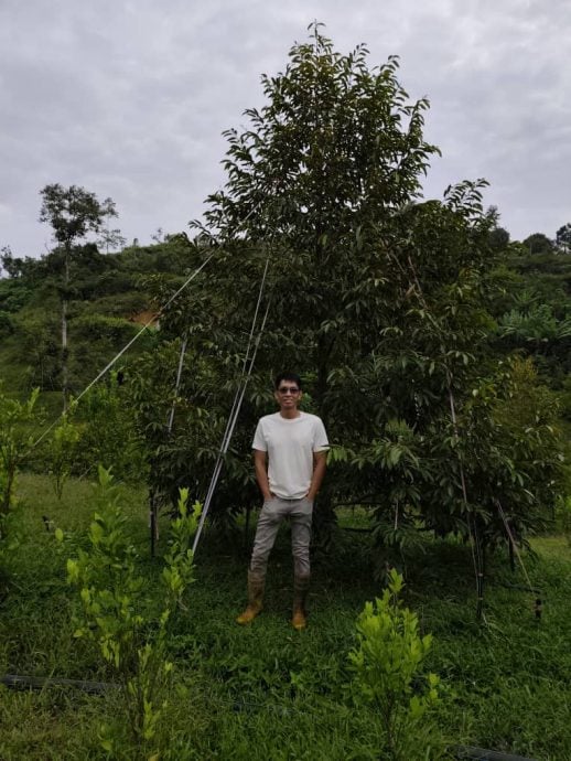 《有故事的人》慕容雄丰不当医生改种植榴梿